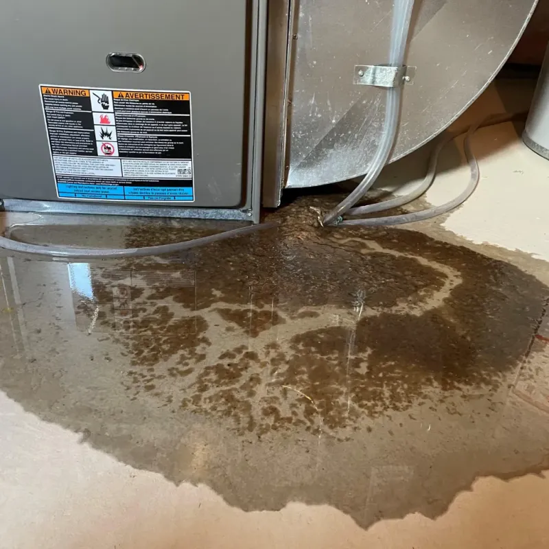 Appliance Leak Cleanup in Edwards County, KS